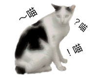 550019382