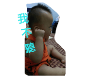 55004581