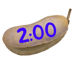 550084998