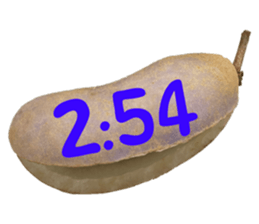 550085016