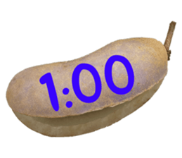 550085030