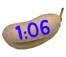 550085032