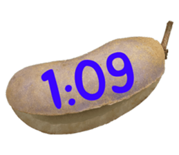 550085033