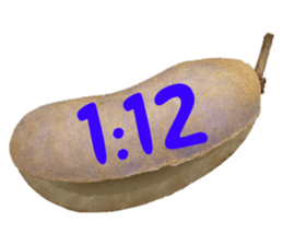 550085034