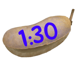 550085040