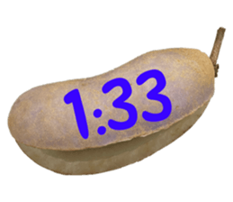 550085041