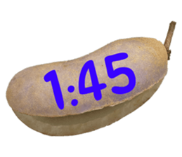 550085045