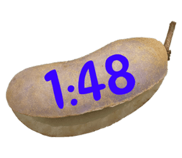 550085046