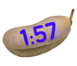 550085049