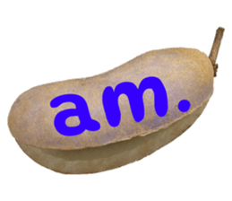 550085050