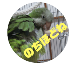 550134307
