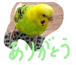 550134327