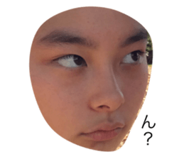 550190474