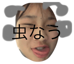 550259240