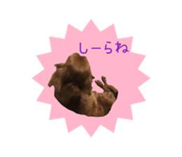 550259380