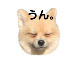 550275342