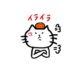 5502764