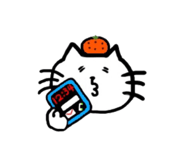5502773