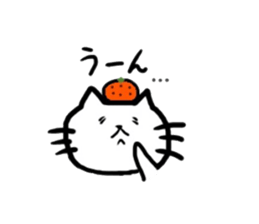 5502775