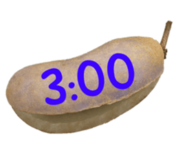 550287630