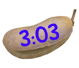 550287631