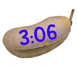 550287632