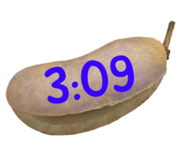 550287633