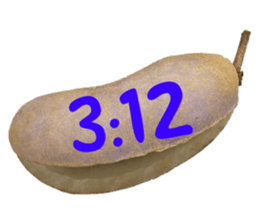 550287634