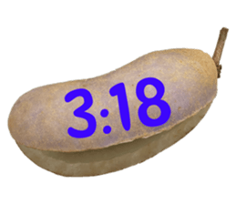 550287636