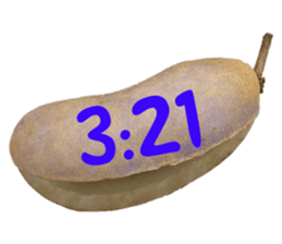 550287637