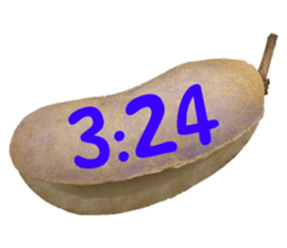 550287638