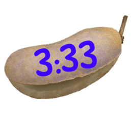 550287641