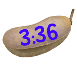 550287642