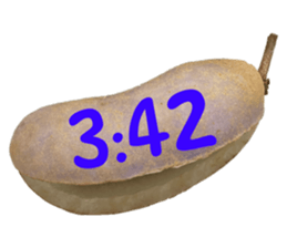550287644