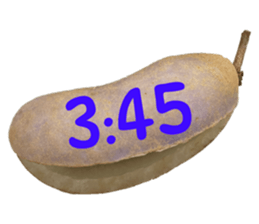 550287645