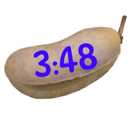 550287646