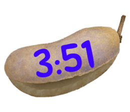 550287647