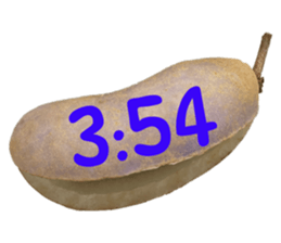 550287648