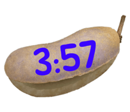 550287649