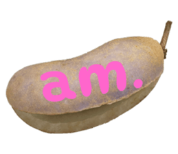 550287650