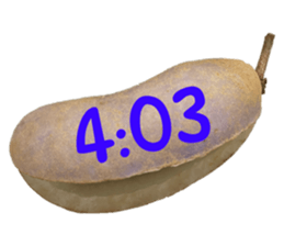 550287655