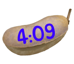 550287657