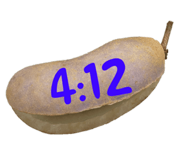 550287658