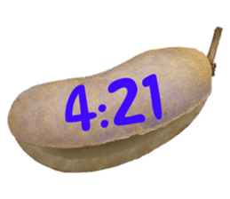 550287661