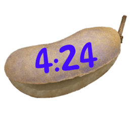 550287662