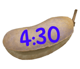 550287664
