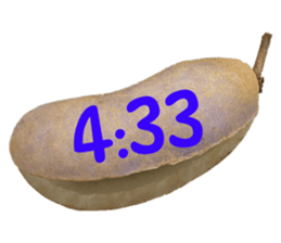 550287665