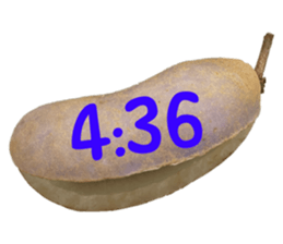 550287666