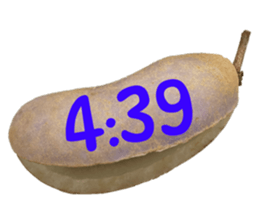 550287667