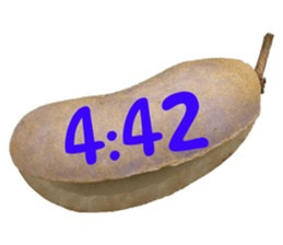 550287668
